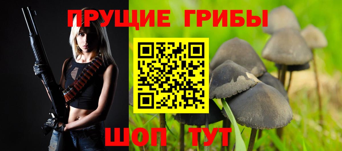 Псилоцибиновые грибы Cubensis Ликино-Дулёво